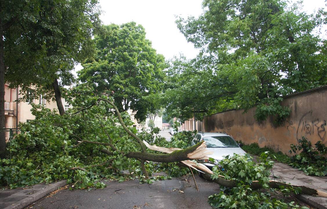 Klimatologė: gegužė pažeria daug netikėtumų