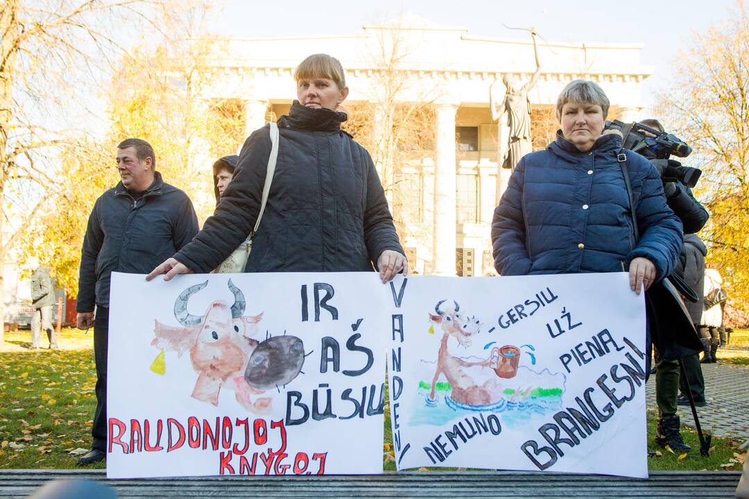V. Baltraitienė: ūkininkai kooperaciją įsivaizduoja kaip suvarymą į kolūkius