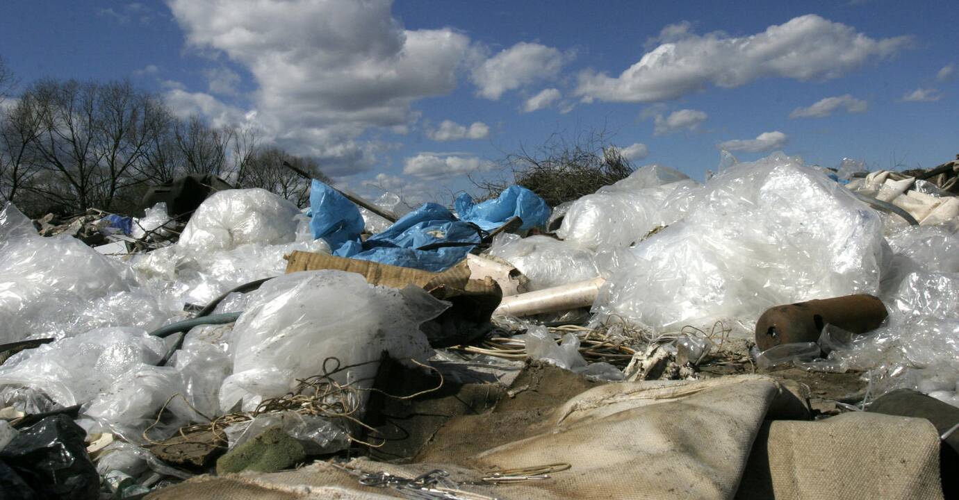 Plastikinių maišelių kaina: švaistomos lėšos, teršiamas vanduo, nuodijami gyvūnai