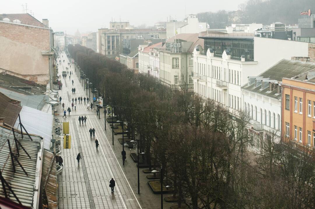 Laisvės alėjoje – rūpestis dėl ją teršiančių varnų