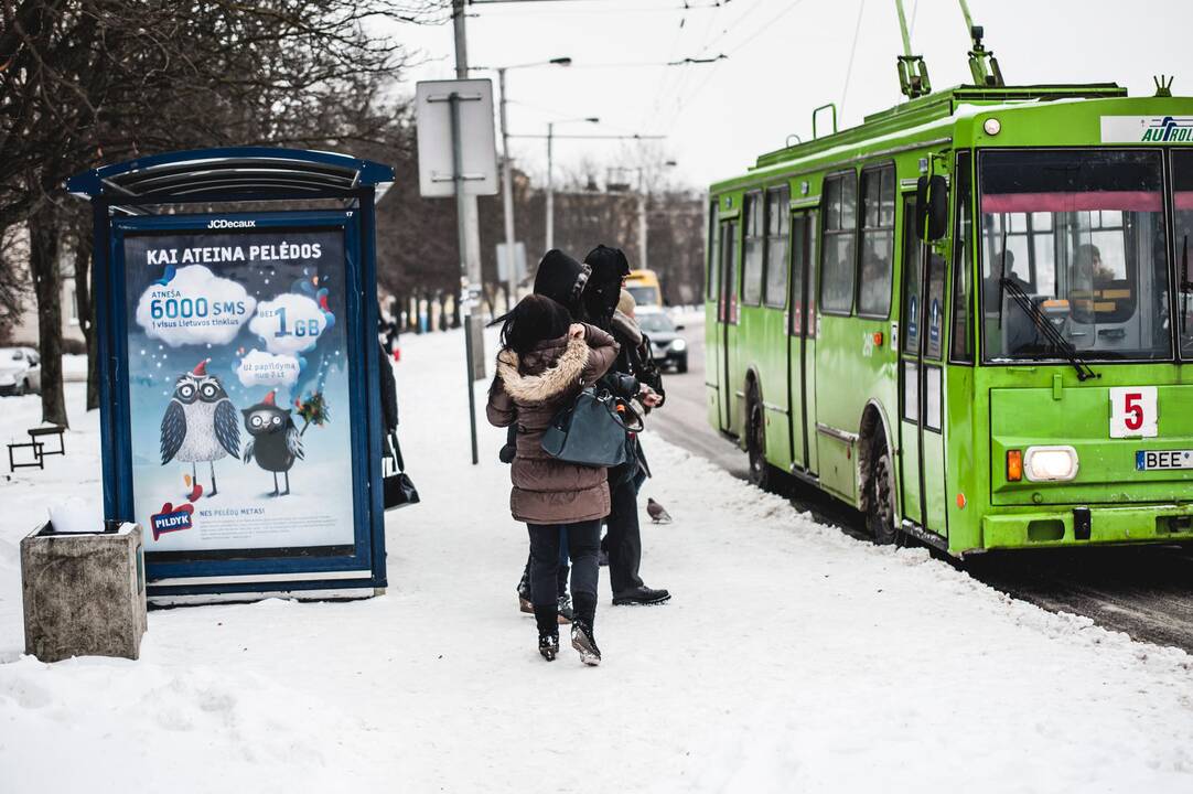 Kontrolieriai zuikiams spirgina padus