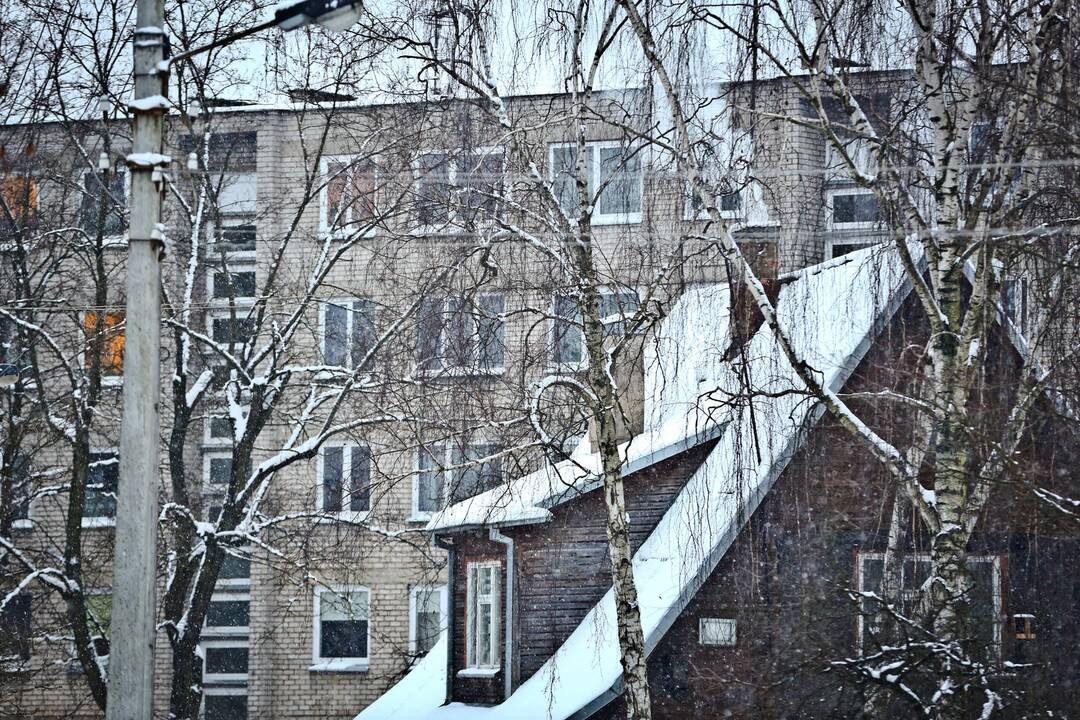 Nuo šalčių labiausiai nukentėjo Šančių ir Mastaičių gyventojai