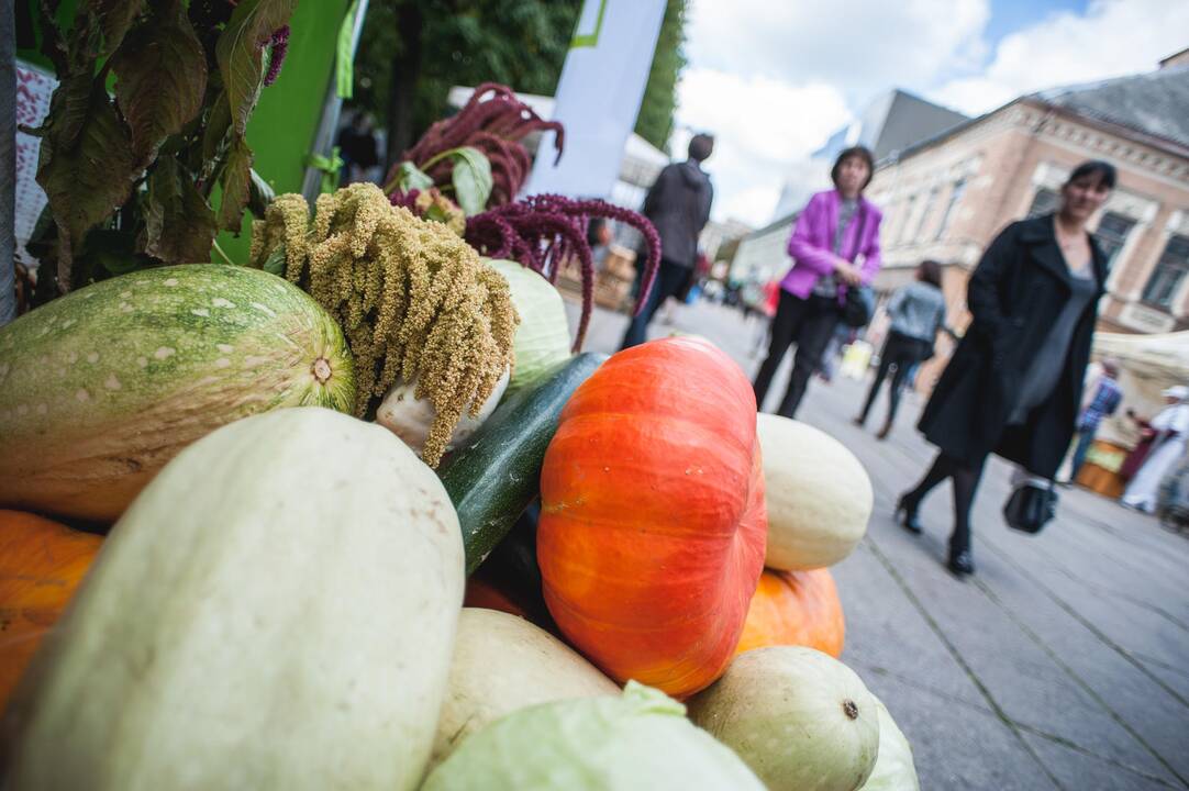 Rudens mugėje tikimasi pustrečio šimto dalyvių (programa)