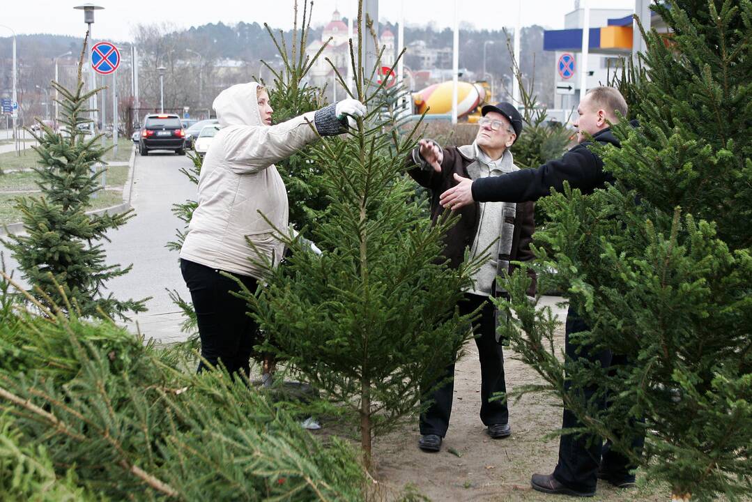 Eglių pardavėjų ambicijos – užkariauti užsienį