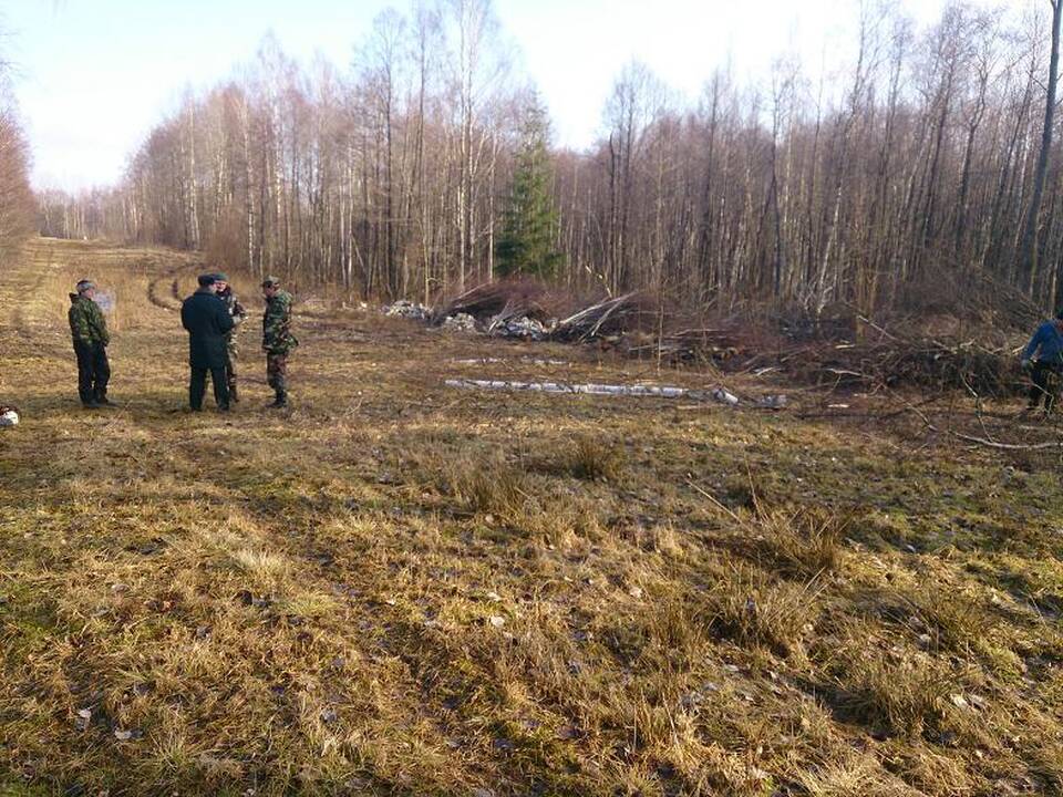 Į Lietuvą neteisėtai įžengęs medkirtys gavo 125 litų baudą