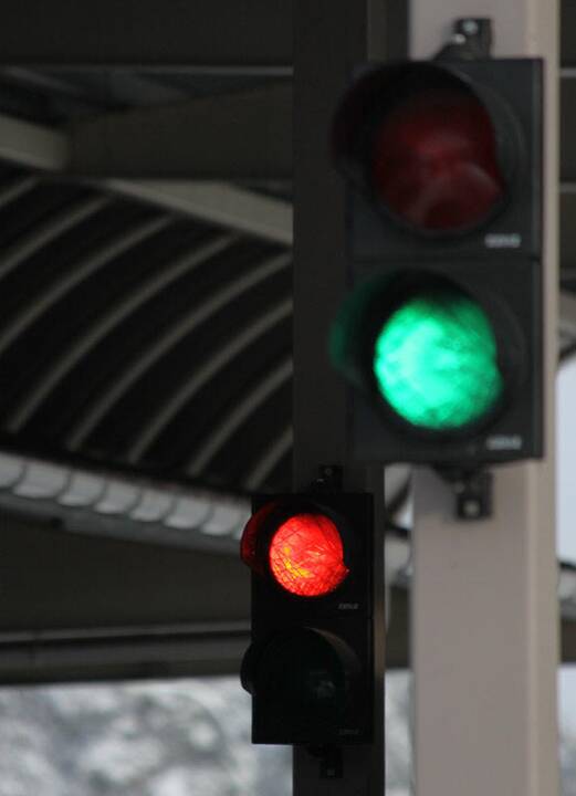 Pasieniečiai sulaikė nelegalą gruziną ir jo vedlį lietuvį