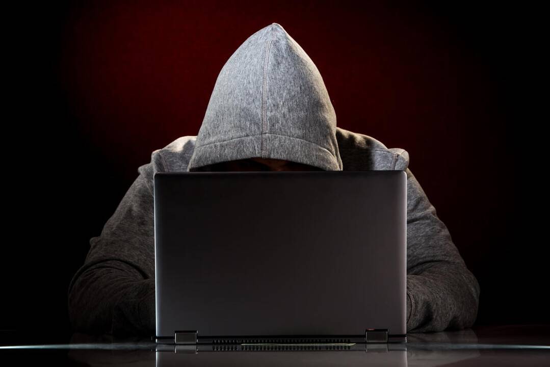 Dėl komentarų internete po I. Strazdauskaitės nužudymo pradėtas ikiteisminis tyrimas