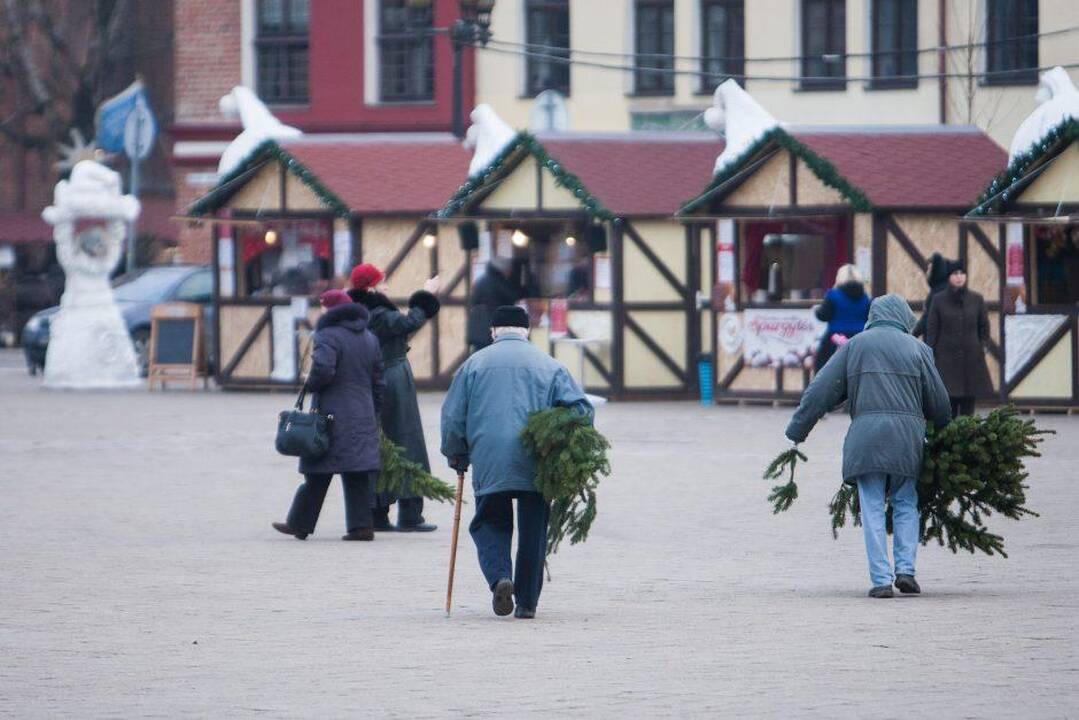 „Parsinešk Kalėdas į savo namus“: be eglės šakelės neliks nei vienas