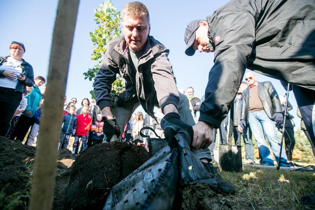 Šventė Garliavos Šimtmečio parke