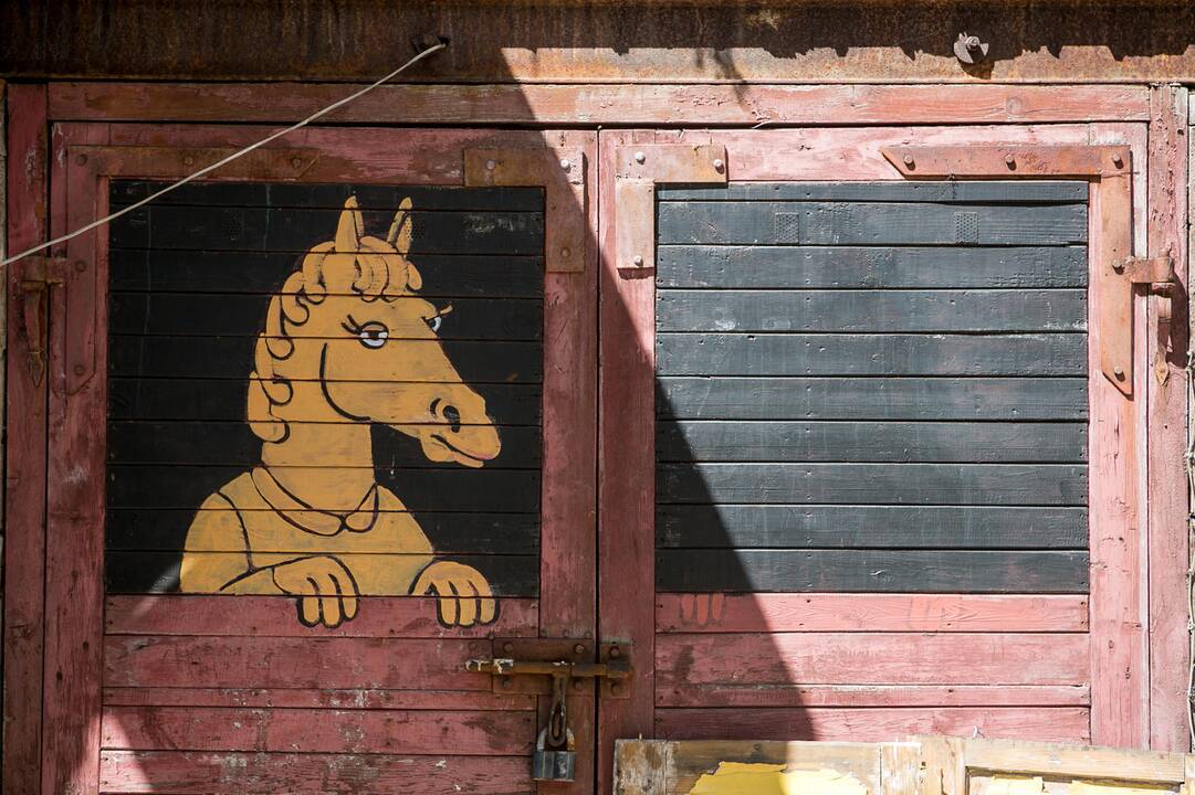 Kaimynų istorijos „Kiemo galerijoje“ 