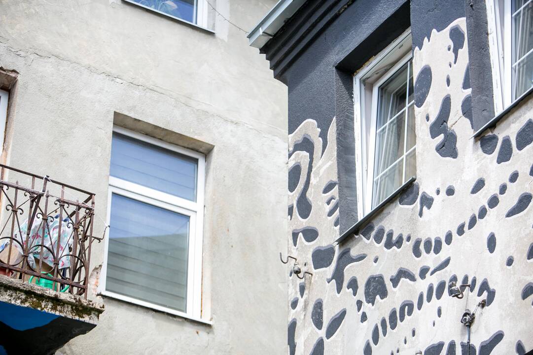 Kaimynų istorijos „Kiemo galerijoje“ 