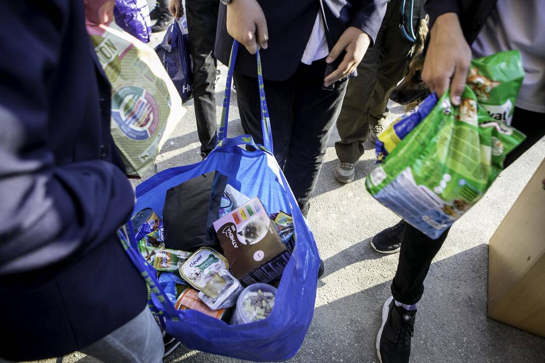 Mokslo metų pradžios šventė Senamiesčio progimnazijoje