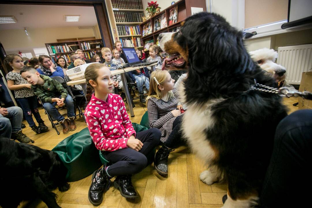 Bibliotekoje - skaitymai su šunimi