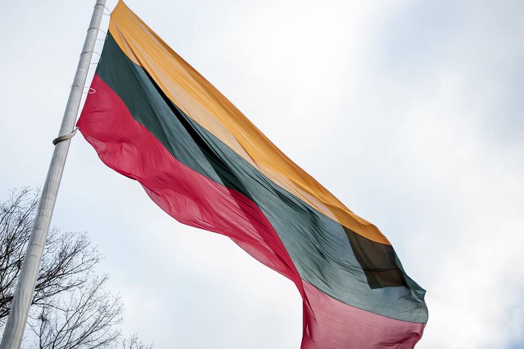 Rekordinė vėliava Pelėdų kalne