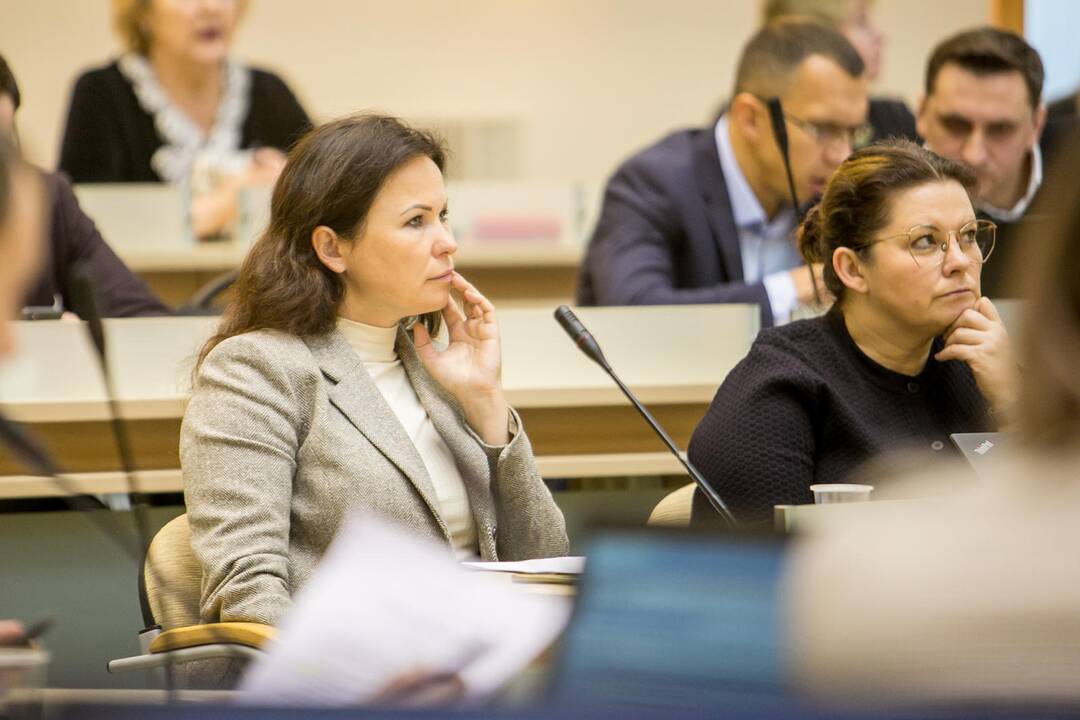 Kauno miesto tarybos posėdis (2020 vasaris)