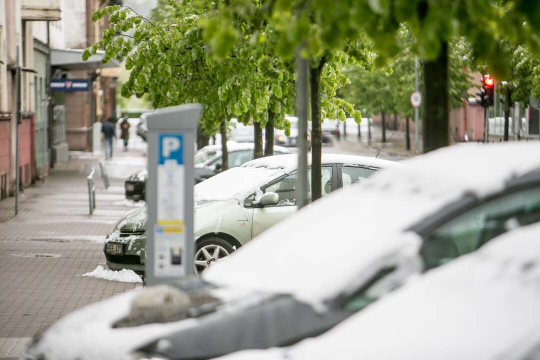 Gegužės 12-osios rytas Kaune
