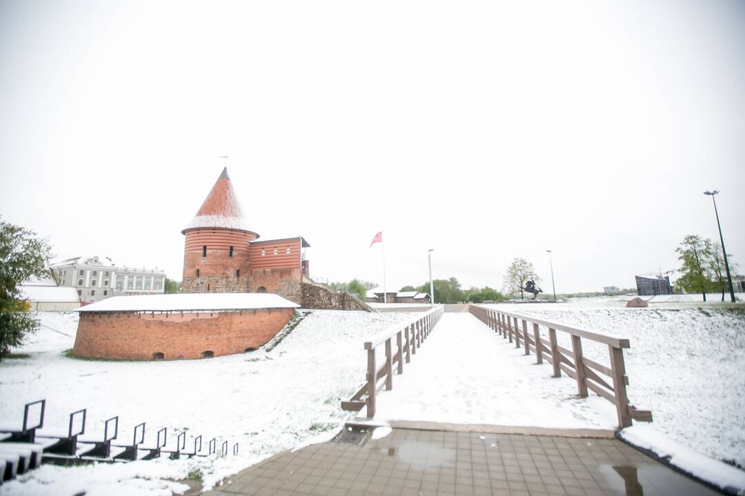 Gegužės 12-osios rytas Kaune