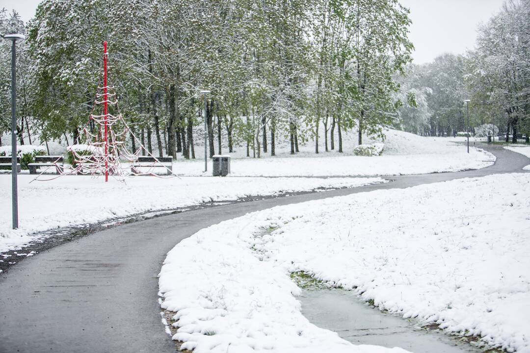 Gegužės 12-osios rytas Kaune