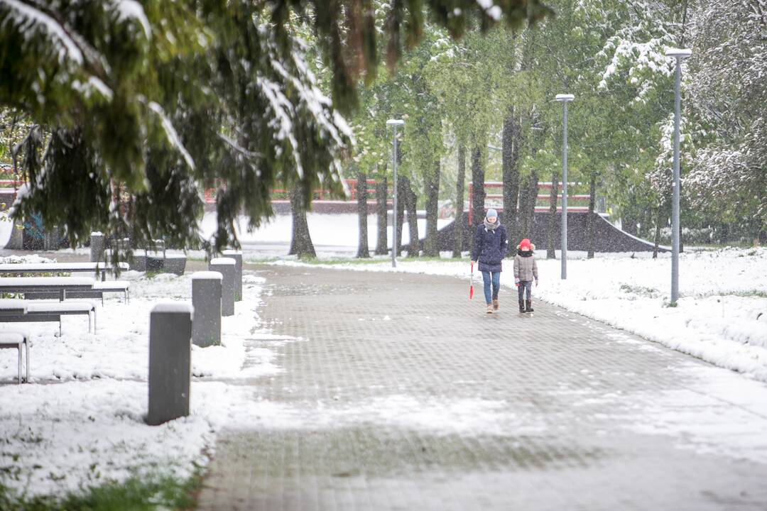 Gegužės 12-osios rytas Kaune