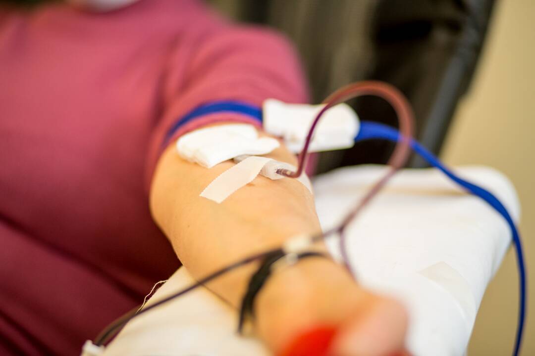 Kraujo donorystės akcija Kauno arkivyskupijos kurijoje