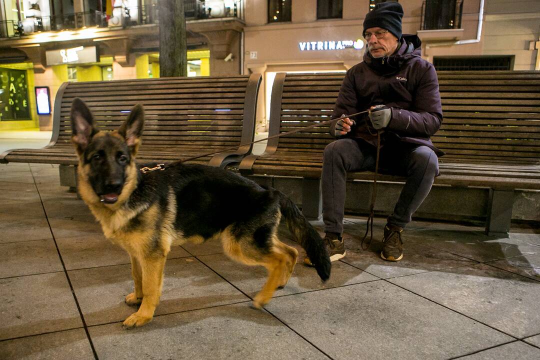 Romantiški pasivaikščiojimai Laisvės alėjoje