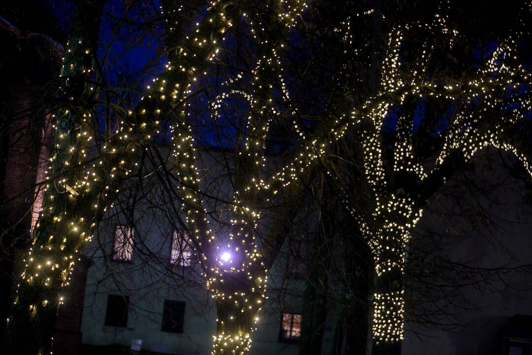 Kalėdinės dekoracijos apraizgė Kauną