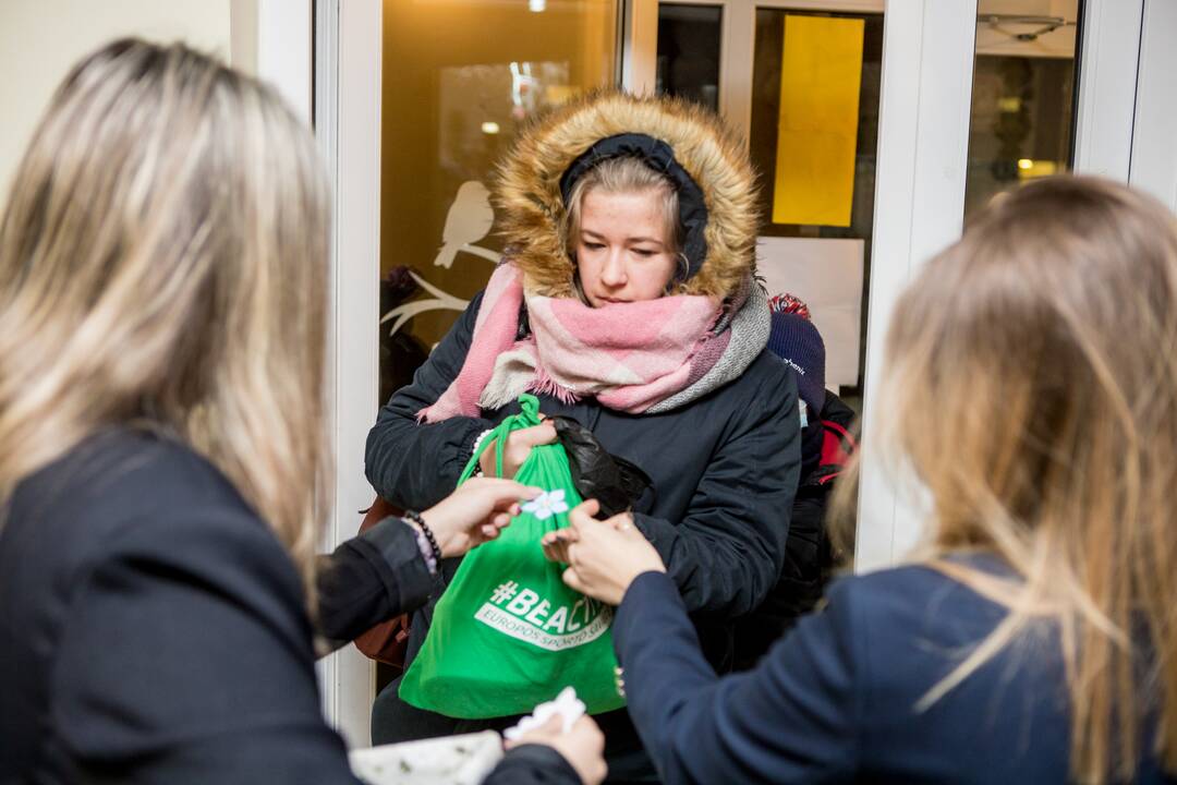 Žvakutės Kauno gimnazijos languose