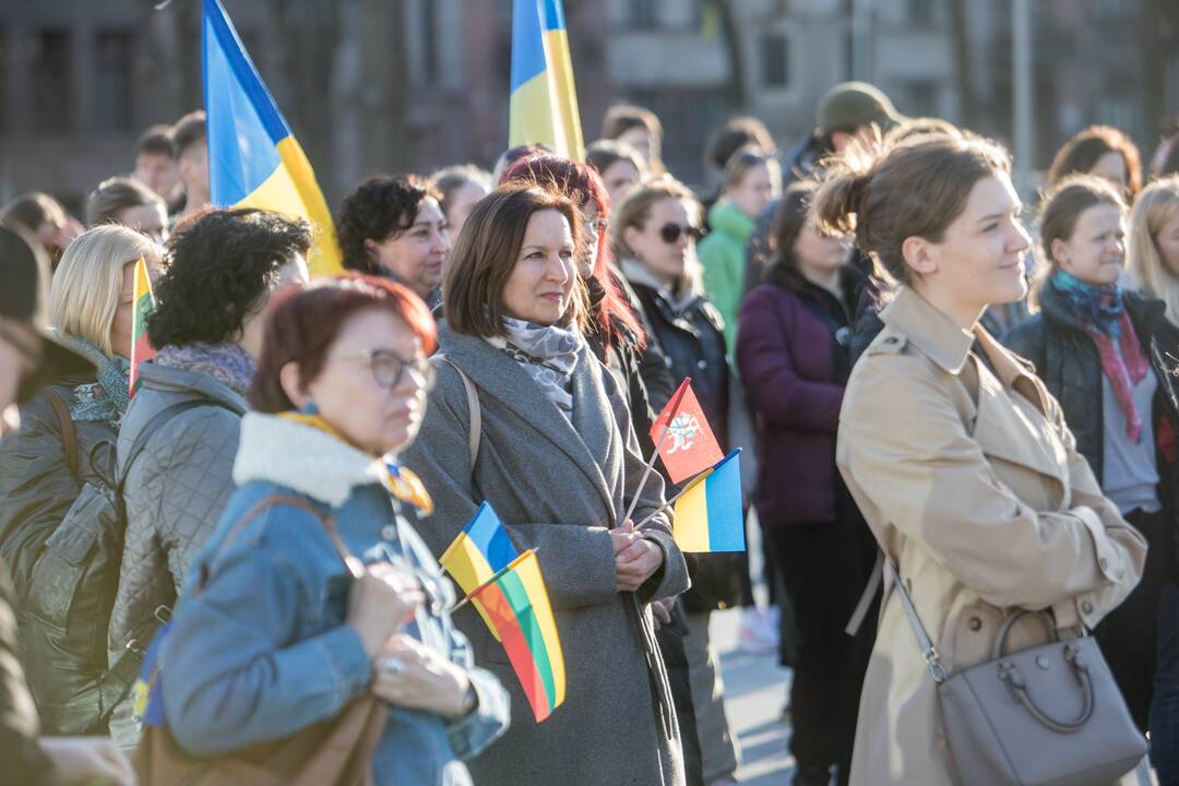 Ukrainos palaikymo akcija Vienybės aikštėje