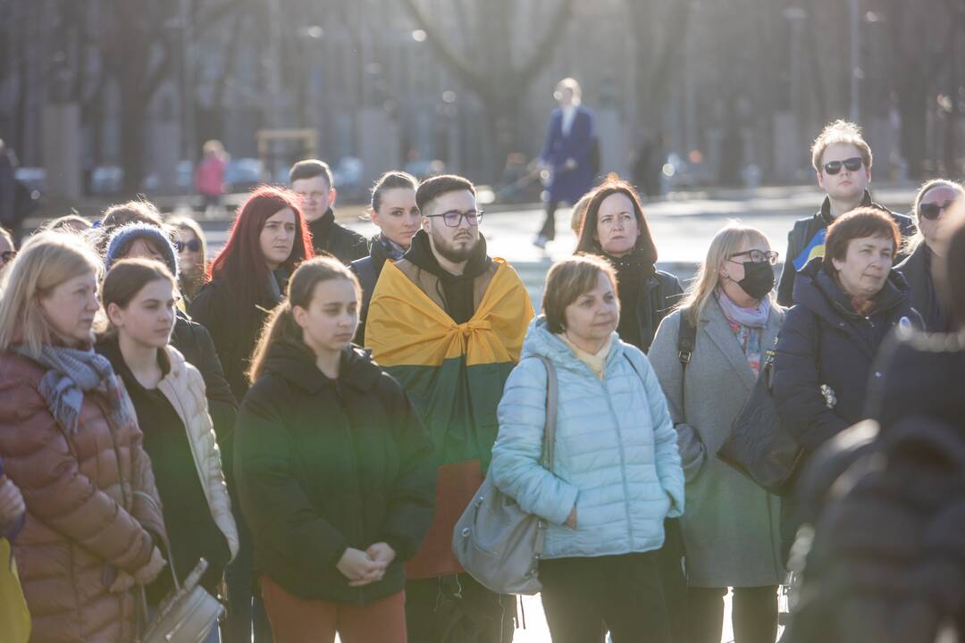 Ukrainos palaikymo akcija Vienybės aikštėje