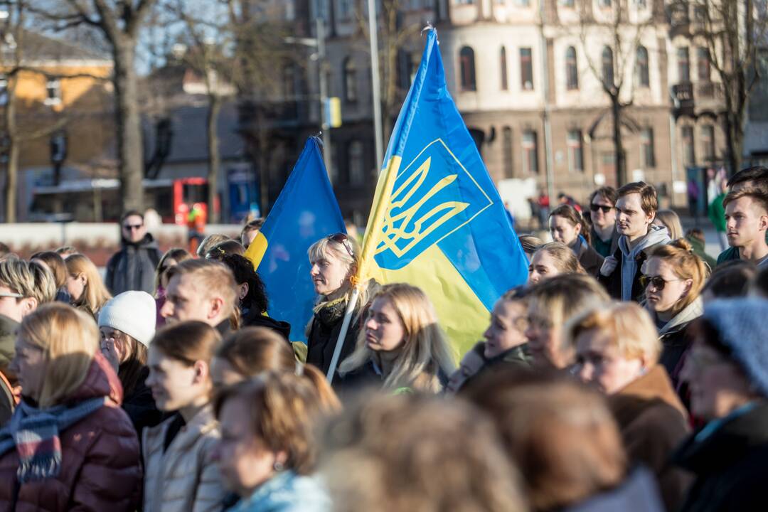 Ukrainos palaikymo akcija Vienybės aikštėje