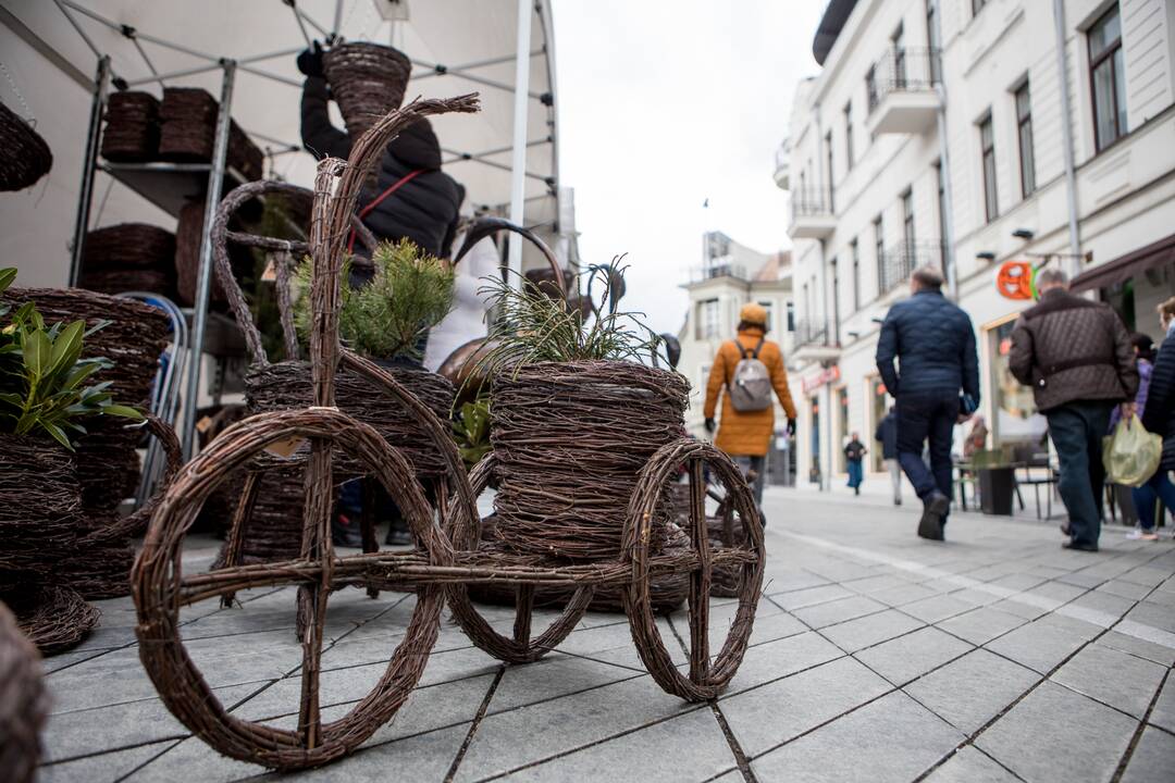 Vilioja mugė Laisvės alėjoje