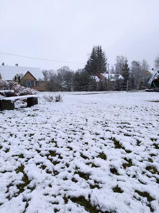 Pirmojo sniego vaizdai Lietuvoje