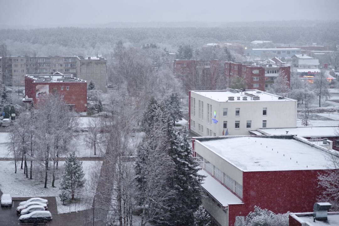 Pirmojo sniego vaizdai Lietuvoje
