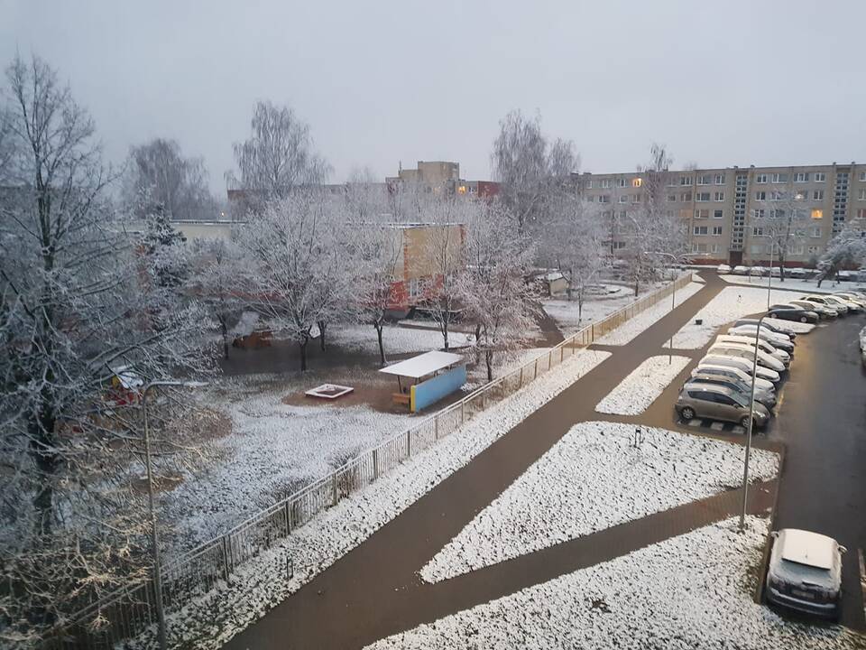 Pirmojo sniego vaizdai Lietuvoje
