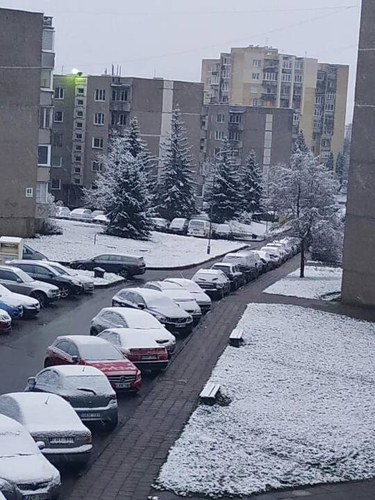 Pirmojo sniego vaizdai Lietuvoje