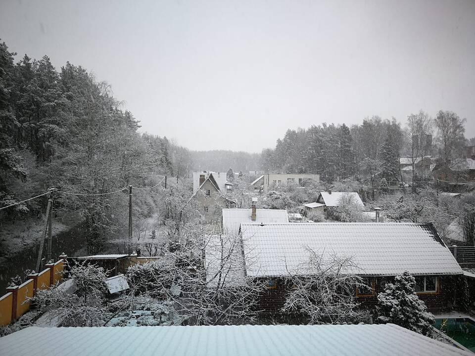 Pirmojo sniego vaizdai Lietuvoje
