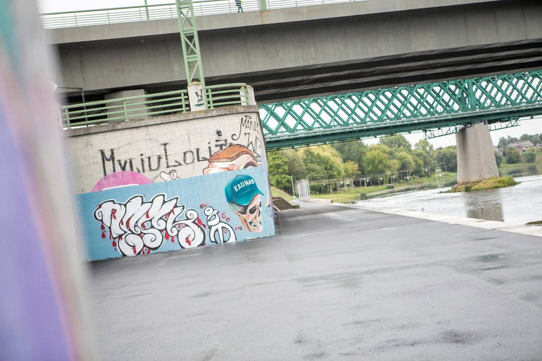 Gatvės menas po M. K. Čiurlionio tiltu