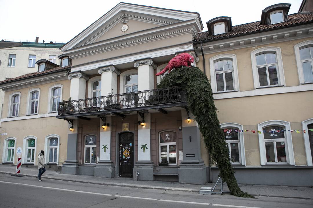 Projekto „Įžiebk Kalėdas balkone“ pradžios renginys