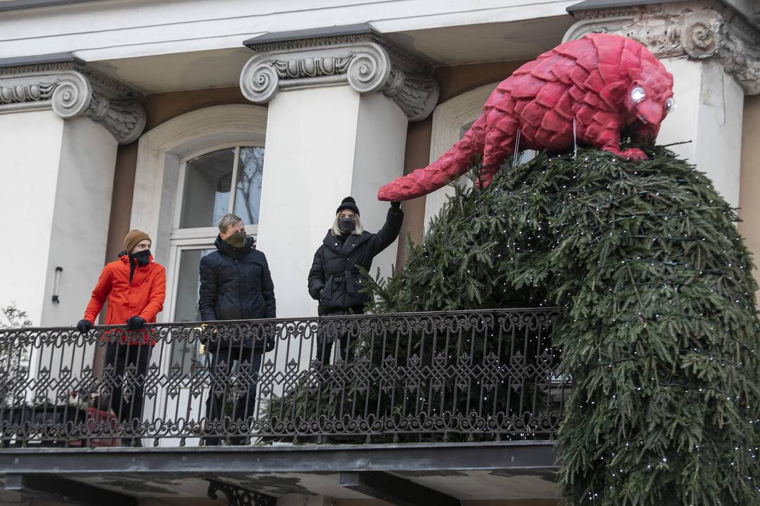 Projekto „Įžiebk Kalėdas balkone“ pradžios renginys