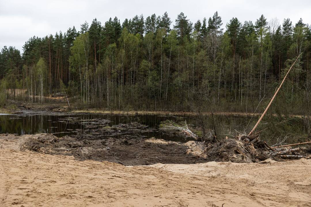 JAV karių žūties vietos incidento padarinių likvidavimo darbų pristatymas