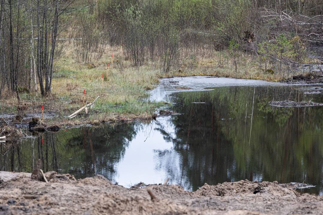 JAV karių žūties vietos incidento padarinių likvidavimo darbų pristatymas