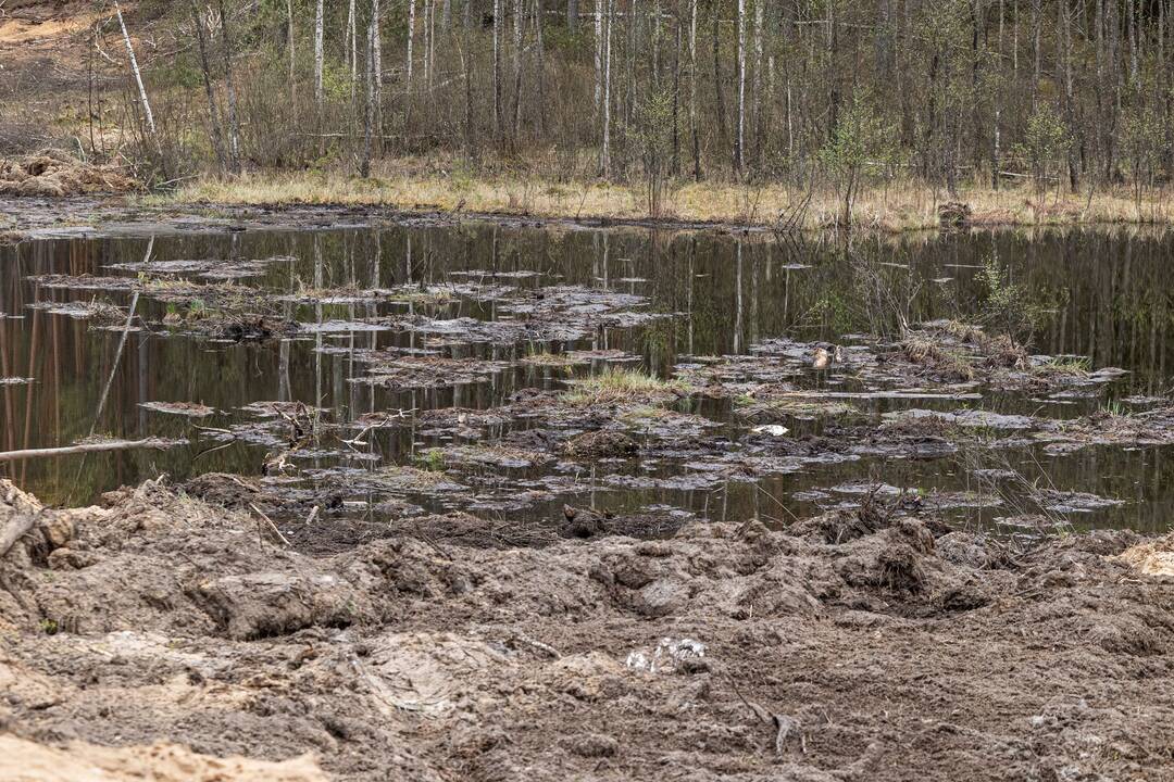JAV karių žūties vietos incidento padarinių likvidavimo darbų pristatymas