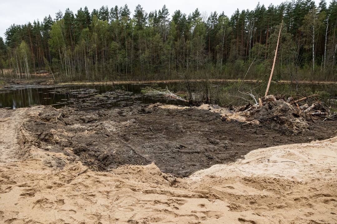 JAV karių žūties vietos incidento padarinių likvidavimo darbų pristatymas