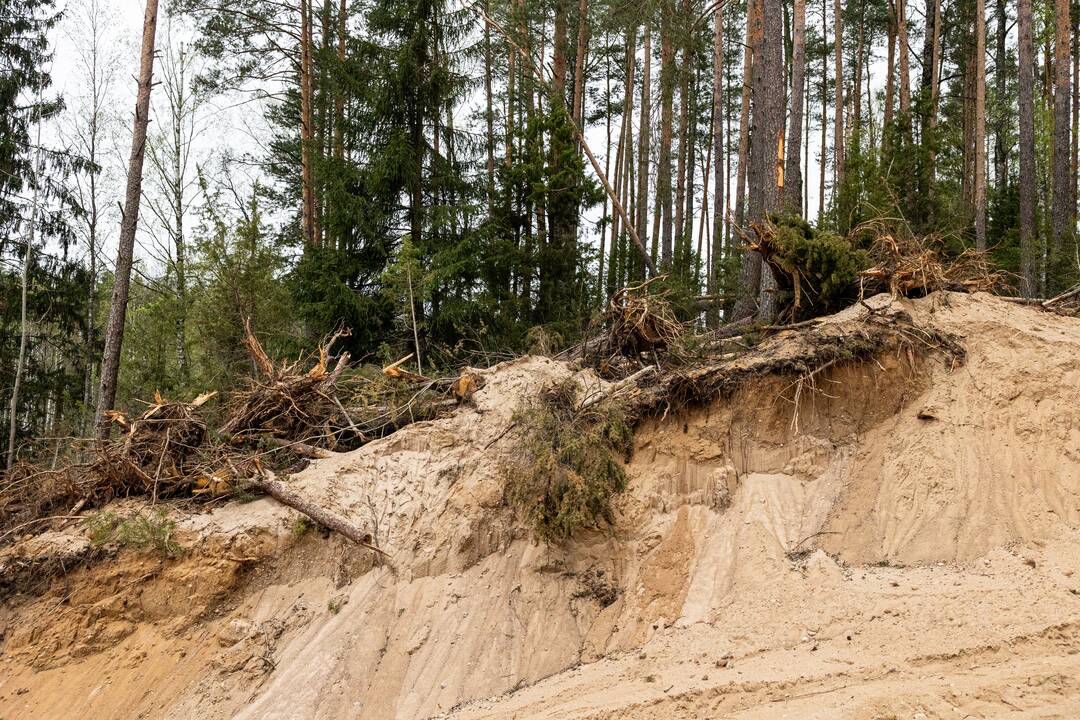 JAV karių žūties vietos incidento padarinių likvidavimo darbų pristatymas