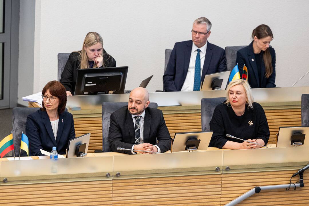 Balsavimas dėl Linos Petronienės paskyrimo į VRK pirmininkus