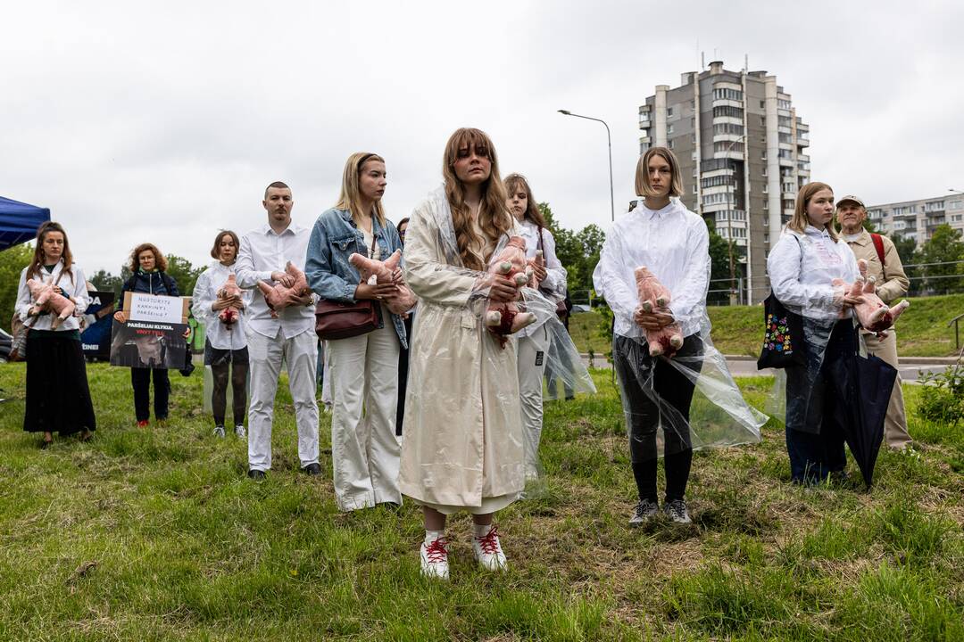 Protestas prie Valstybinės maisto ir veterinarijos tarnybos