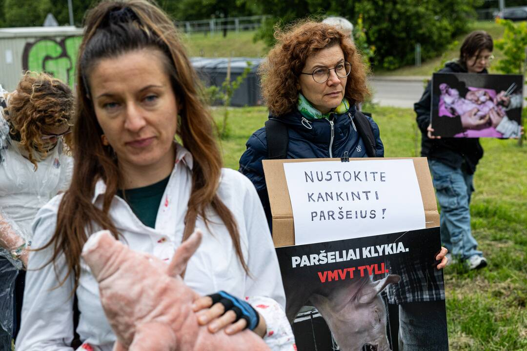 Protestas prie Valstybinės maisto ir veterinarijos tarnybos