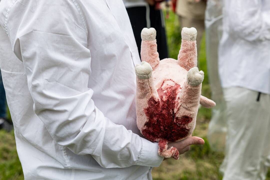 Protestas prie Valstybinės maisto ir veterinarijos tarnybos