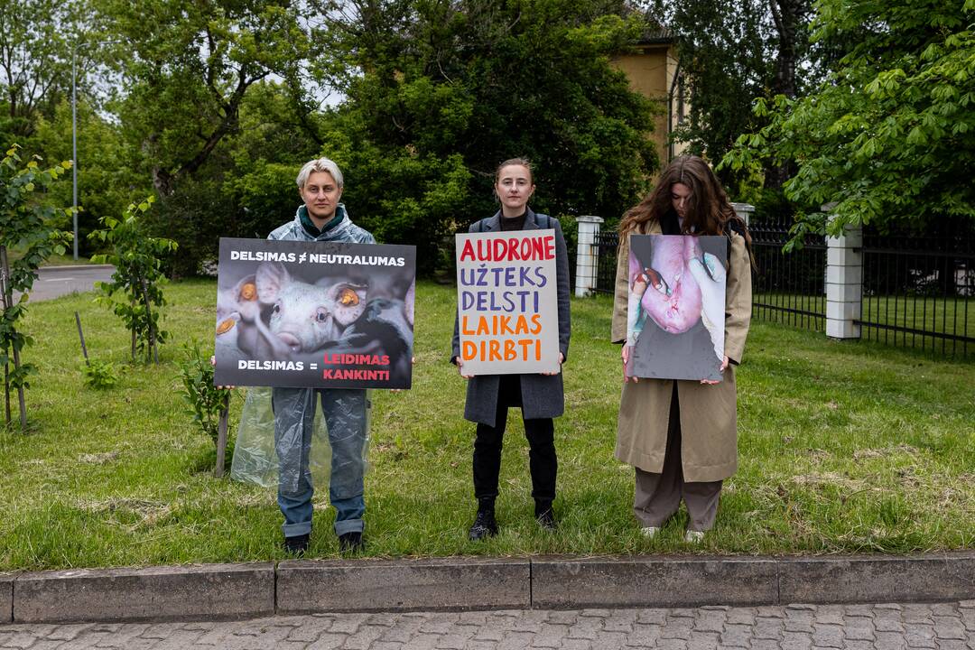 Protestas prie Valstybinės maisto ir veterinarijos tarnybos
