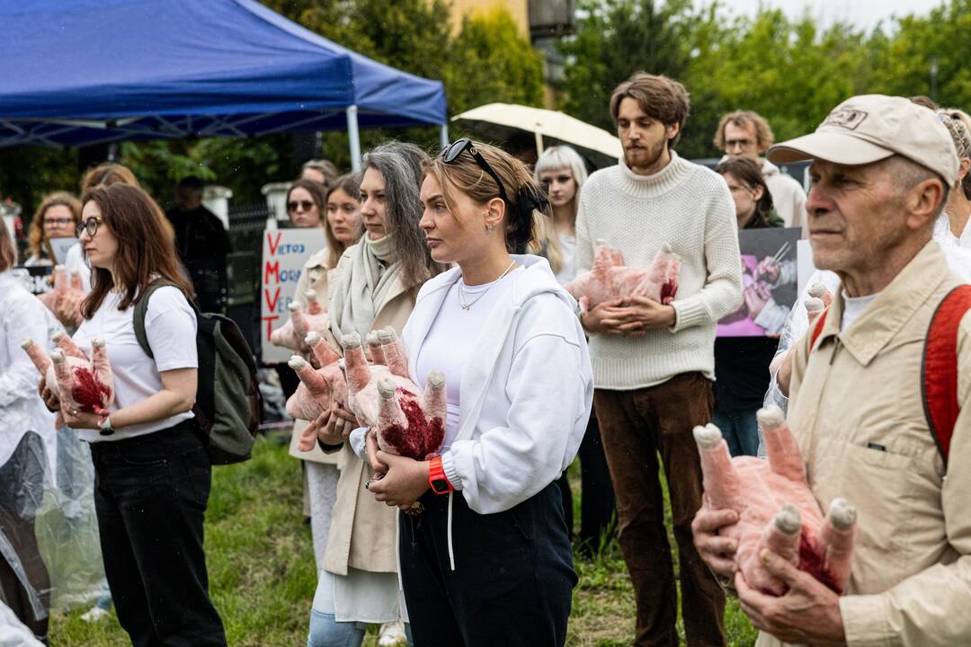 Protestas prie Valstybinės maisto ir veterinarijos tarnybos